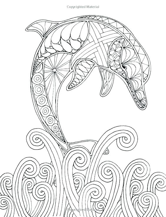 564x736 Whale Shark Coloring Pages Whale Shark Coloring Pages Free Whale