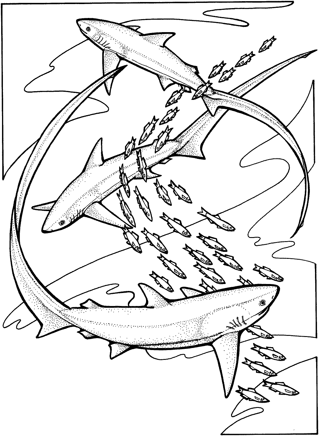 1103x1506 Coloring Pages Sharks Lovely Free Shark Coloring Pages Logo