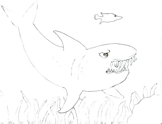 618x474 Hammerhead Shark Coloring Pages Cliptext.co
