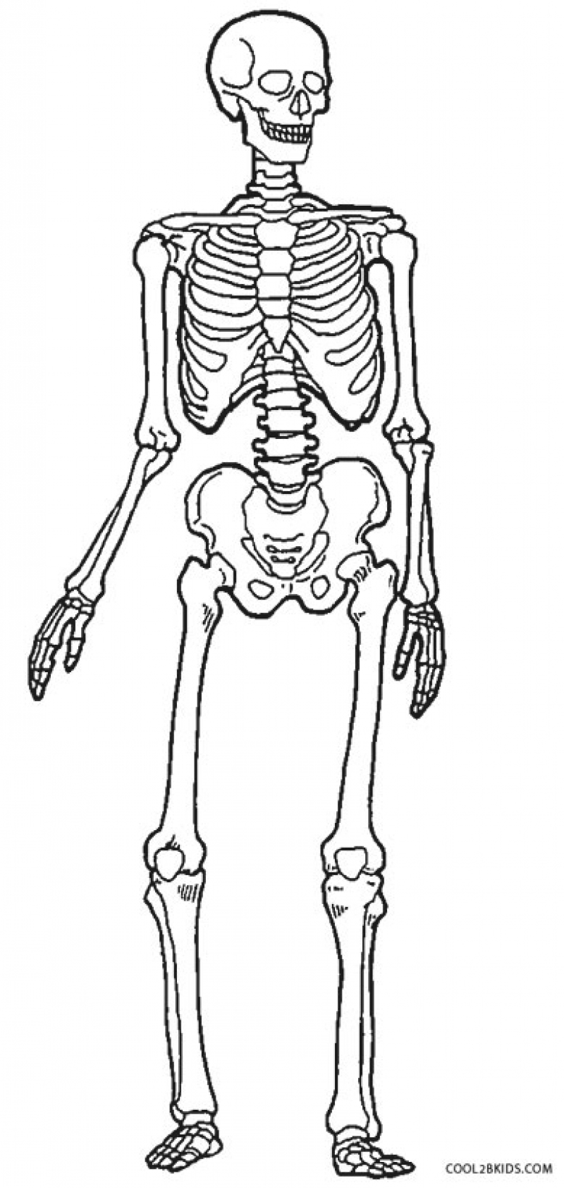 800x1686 Launching Skeleton Coloring Pages To Print Ani