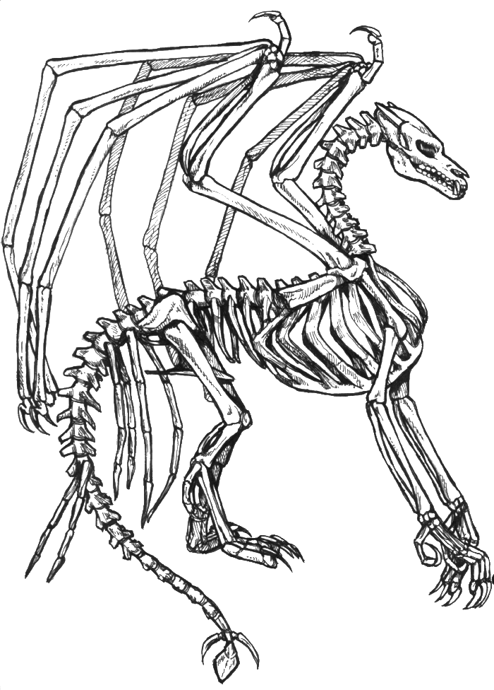 700x976 Skeleton Coloring Pages
