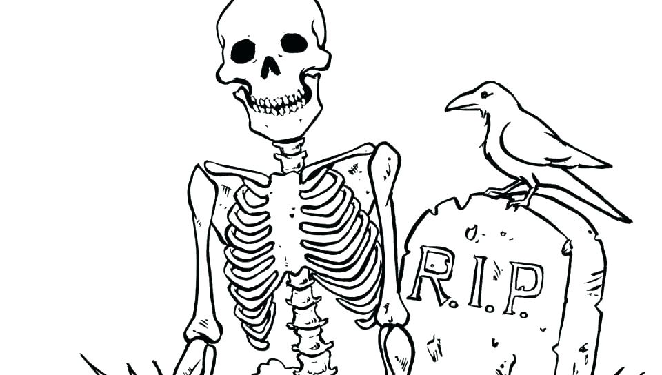 960x544 Dinosaur Skeleton Coloring Pages