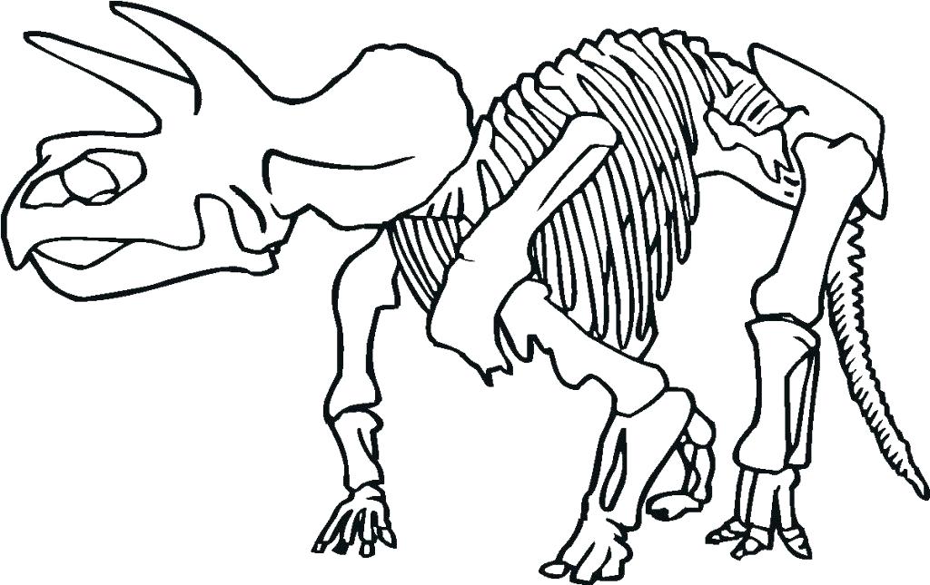 1024x645 Dinosaur Bones Coloring Pages Dinosaur Bones Coloring Pages Free
