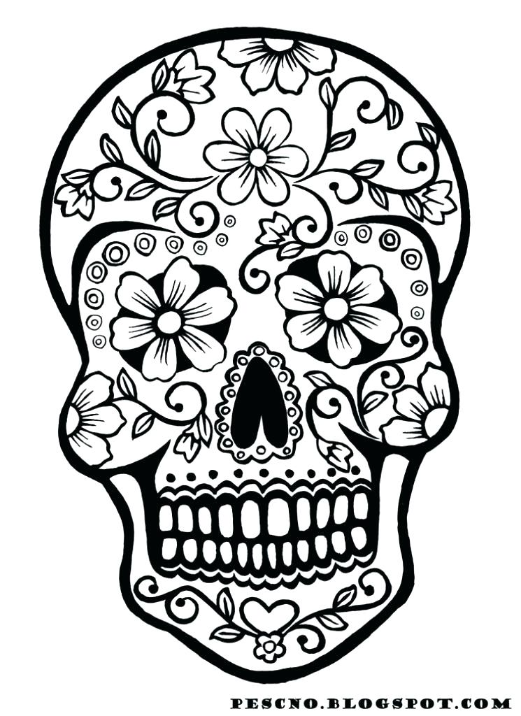 Free Printable Skull Coloring Pages 745x1024 Free Printable Skull Coloring Pages