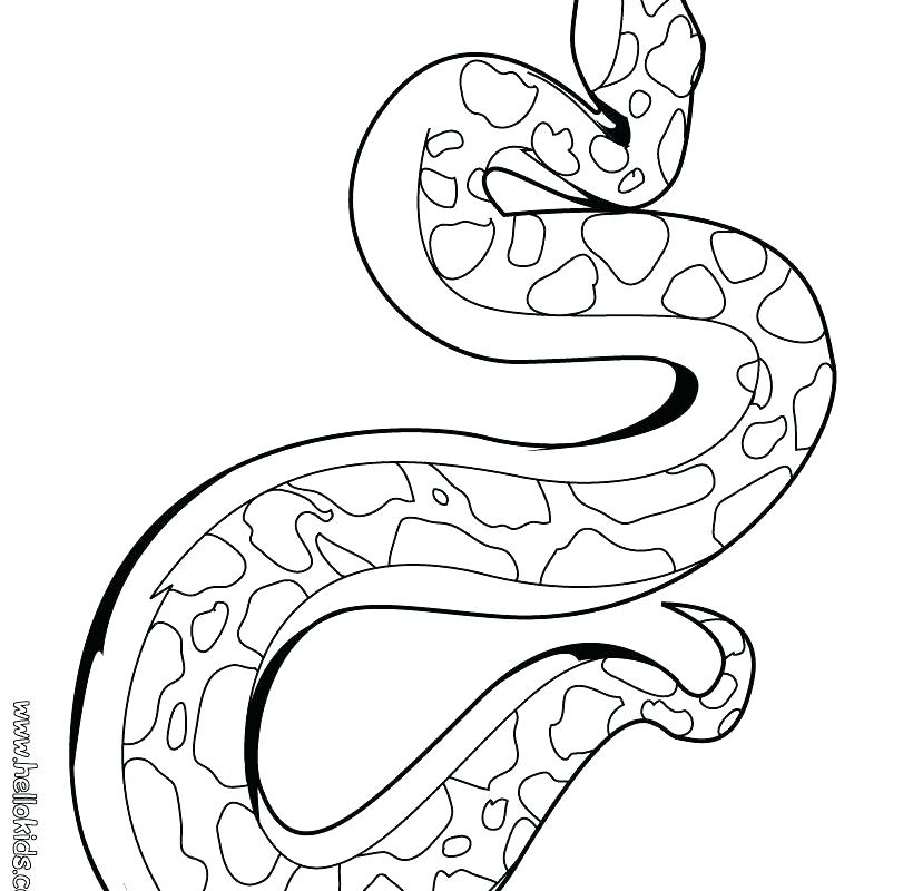 820x800 Snake Color Page Coloring For Kids Snake Pages Scarlet Page Source