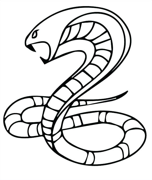 600x707 Snake Coloring Page Cool Snake Coloring Page Best Of 9 Pages Free