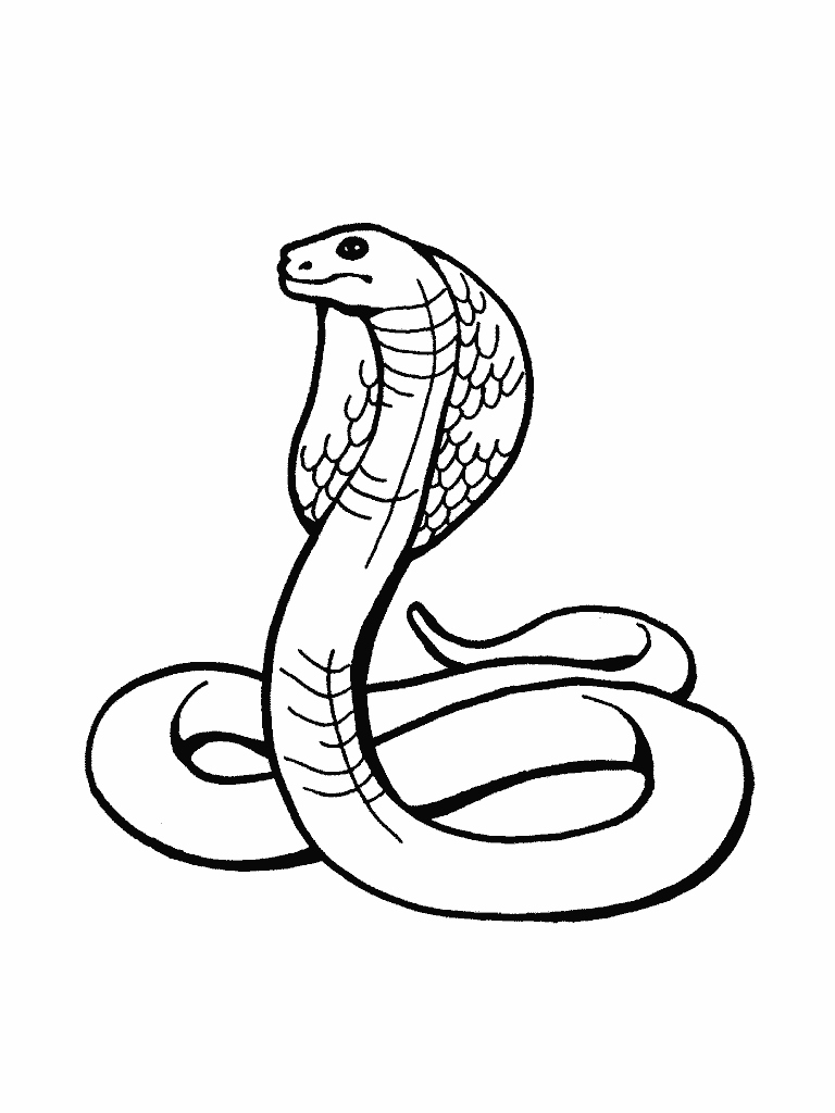 768x1024 Snake Coloring Page Fresh Snake Coloring Pages Free For Children