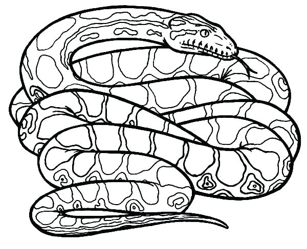 600x488 Snake Coloring Pages Snakes Coloring Pages Snake Coloring Pages