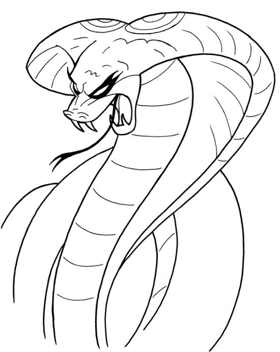 550x691 Snake Coloring Page Impair.co