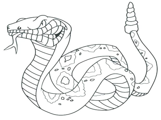 618x464 Coloring Page Snake Snake Coloring Page Snake Coloring Pages Free