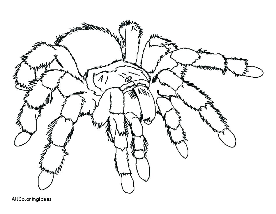 Free Spider Coloring Pages Spider Coloring Pages Iron Spider 948x733 Free Spider Coloring Pages Spider Coloring Pages Iron Spider