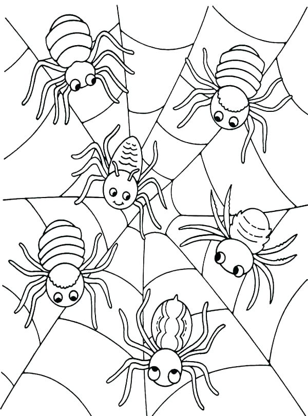 Free Spider Coloring Pages Spider Web Coloring Pages Spider 600x811 Free Spider Coloring Pages Spider Web Coloring Pages Spider