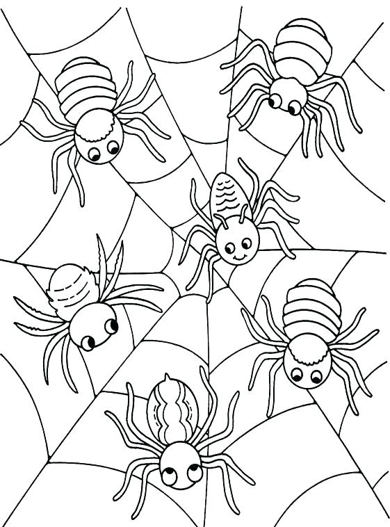 Itsy Bitsy Spider Coloring Page B Spider Coloring Pages B Spider 561x758 Itsy Bitsy Spider Coloring Page B Spider Coloring Pages B Spider