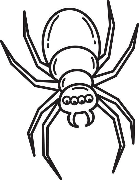 Halloween Spider Coloring Pages Free Printable Halloween Spider 543x700 Halloween Spider Coloring Pages Free Printable Halloween Spider