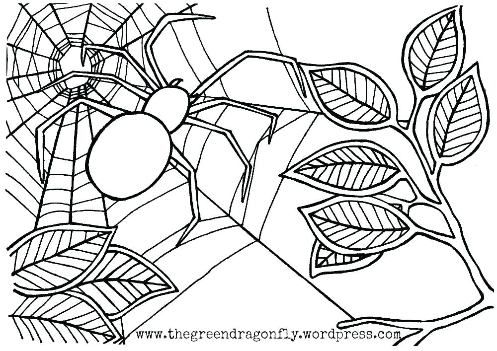 Free Spider Coloring Pages Free Spiderman Coloring Sheets 1000x707 Free Spider Coloring Pages Free Spiderman Coloring Sheets