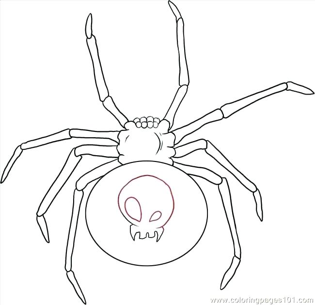 Free Spider Coloring Pages Pictures Of Spiders To Colour In Free 650x629 Free Spider Coloring Pages Pictures Of Spiders To Colour In Free