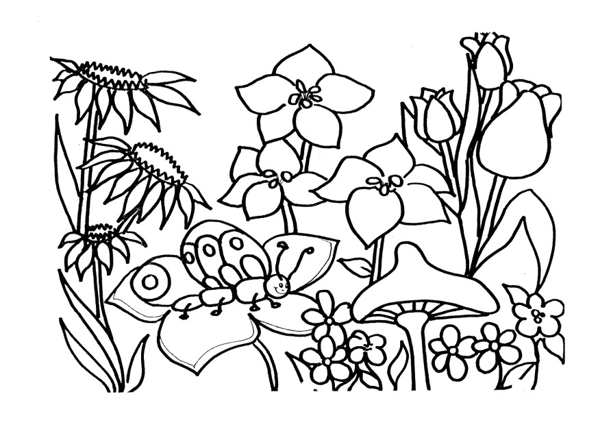 873x639 Spring Coloring Pages Printable 34 Spring Coloring Pages For Kids