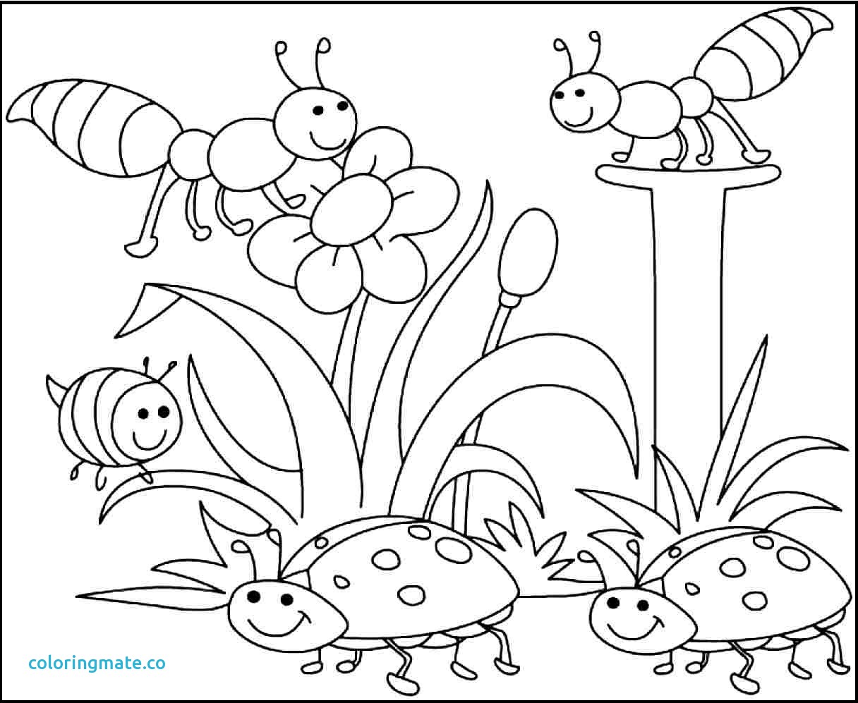 1216x997 Downloadable Coloring Pages Beautiful Free At Printable Spring