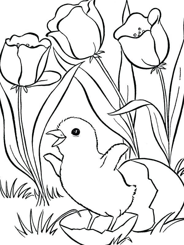 600x800 Free Printable Easter And Spring Coloring Pages Kids Coloring