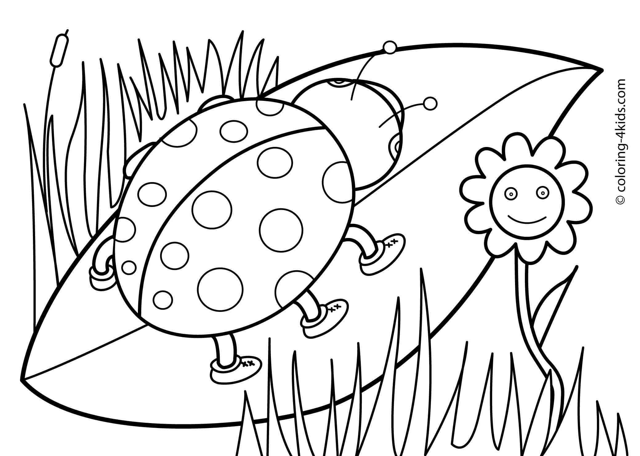 2079x1483 Revealing Springtime Pictures To Color Spring Coloring Pages