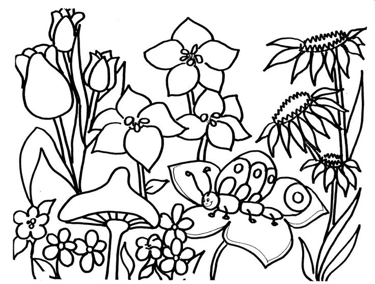 736x558 Best 25 Spring Coloring Pages Ideas On Adult Color By