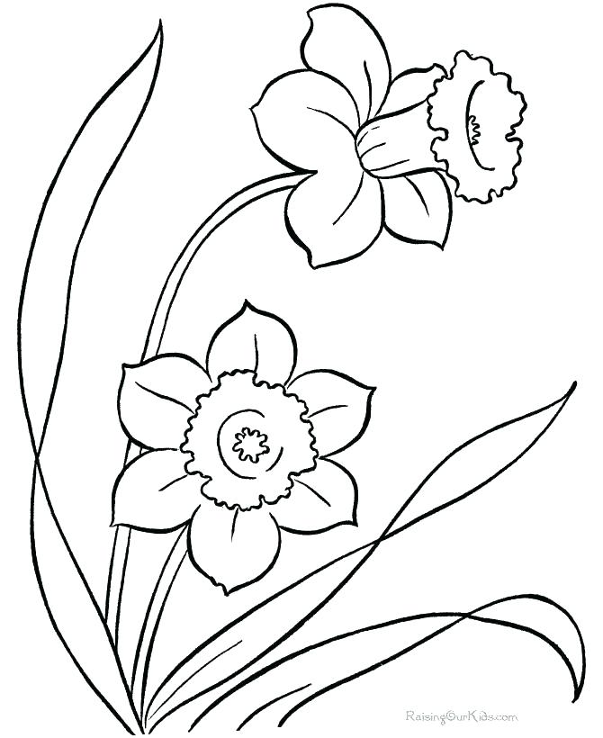 670x820 Easy Spring Coloring Pages For Kids Printable Coloring Sheet Free