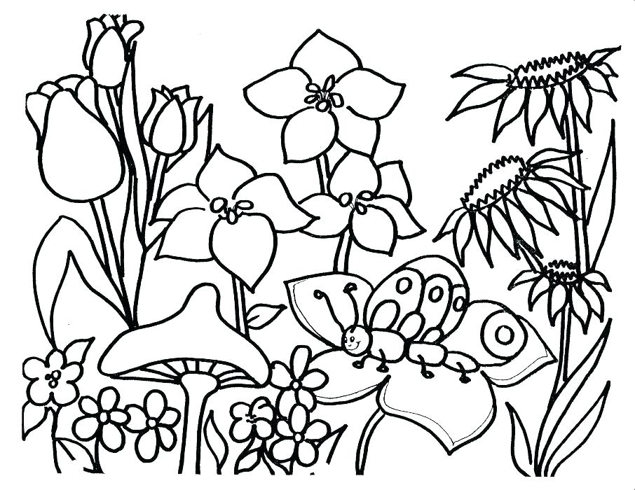 906x700 Free Spring Coloring Pages Spring Coloring Pages Free Printable