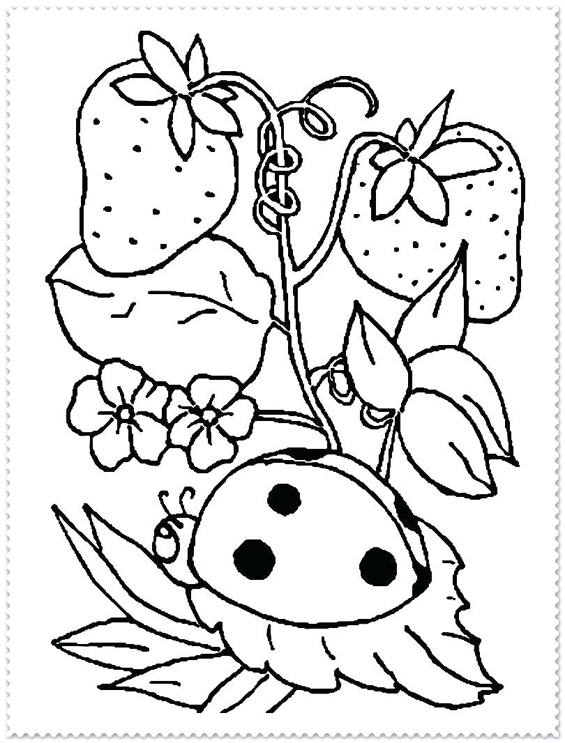 810x1066 Spring Coloring Pages