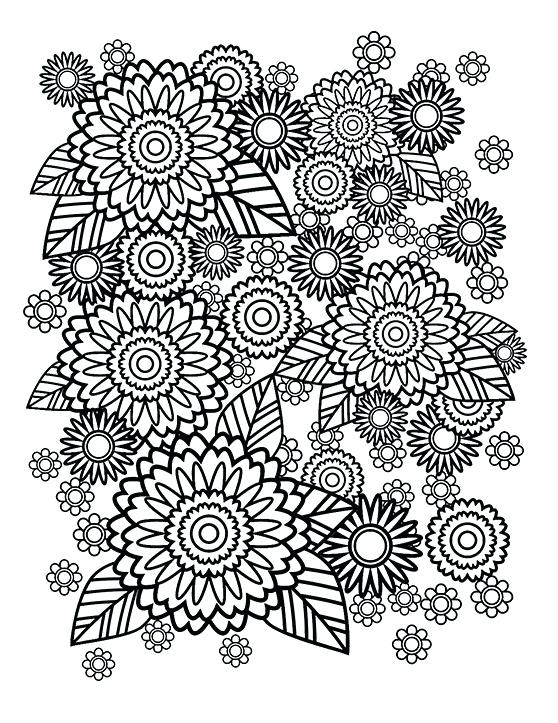 Coloring Pages Flowers Printable Stress Relief Coloring Pages 558x723 Coloring Pages Flowers Printable Stress Relief Coloring Pages