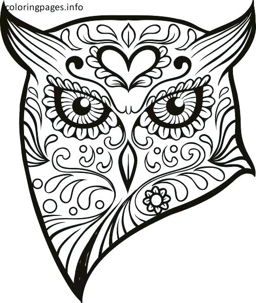 Coloring Pages Skulls Coloring Pages Sugar Skulls Animal Sugar 500x592 Coloring Pages Skulls Coloring Pages Sugar Skulls Animal Sugar