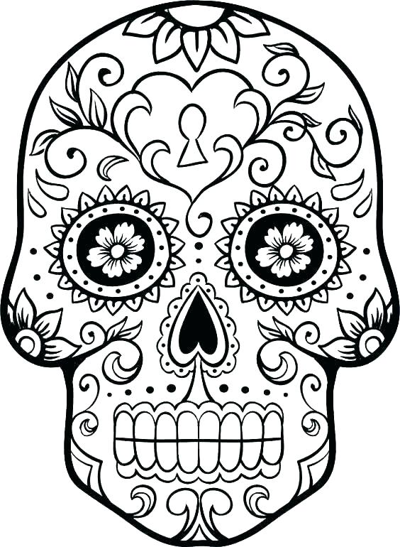 564x770 Sugar Skull Color Pages Sugar Skull Coloring Page Sugar Skull