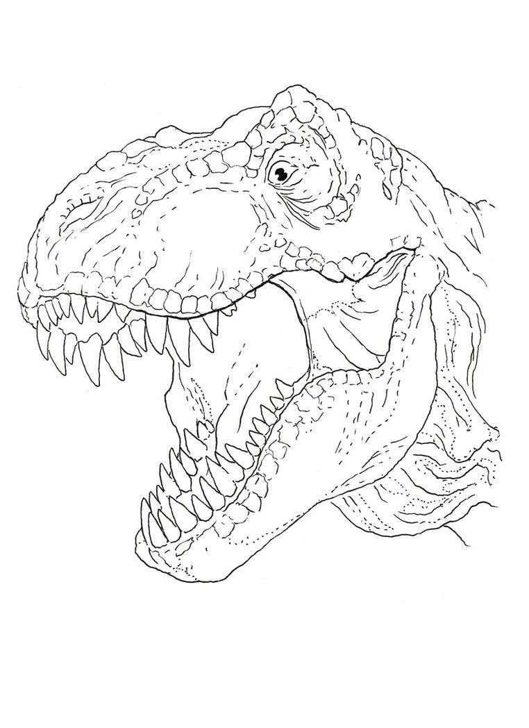 Trex Coloring Pages 762x1048 Trex Coloring Pages