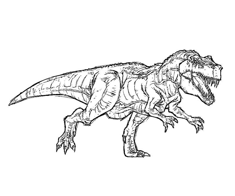 Free T Rex Coloring Pages Jurassic Park T Rex Coloring Pages 800x667 Free T Rex Coloring Pages Jurassic Park T Rex Coloring Pages