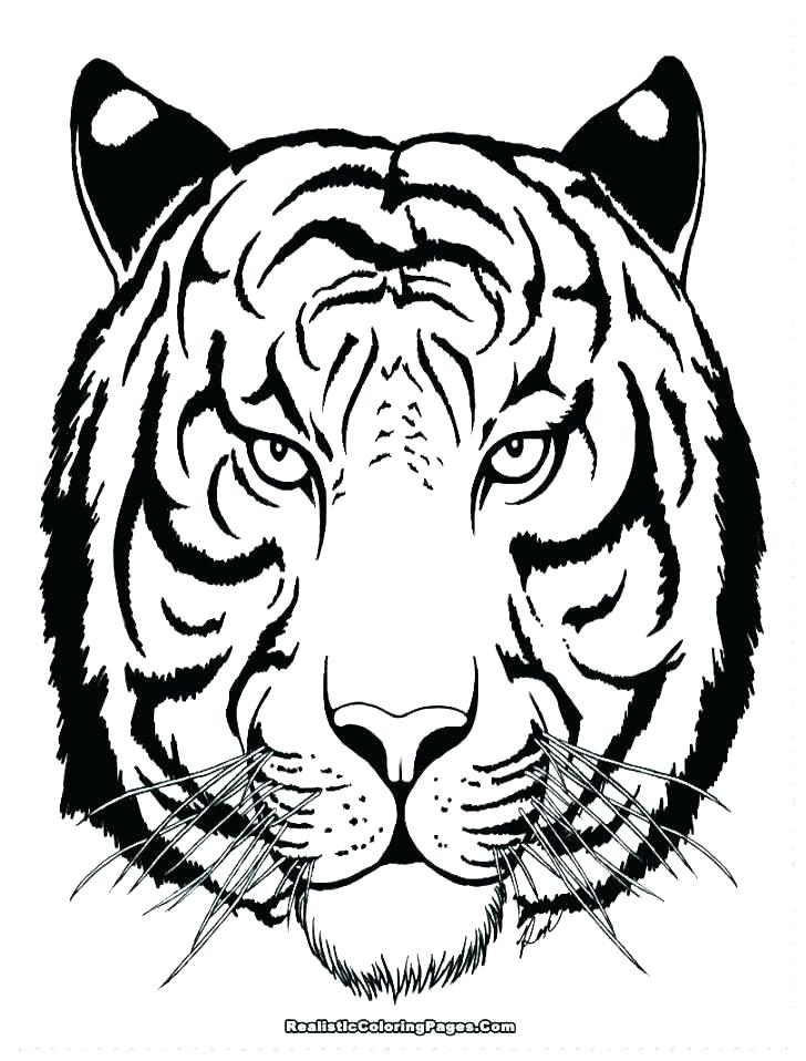 728x958 Tiger Coloring Pages Coloring Pages Of Tigers Free Tiger Coloring
