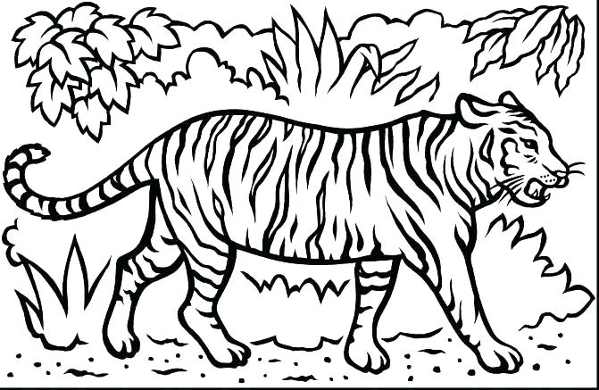 671x437 Tigers Coloring Pages Free Tiger Coloring Pages Coloring Page Free