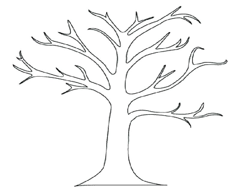800x654 Coloring Pages Of Trees Big Bare Tree Coloring Page Pages Any Kids