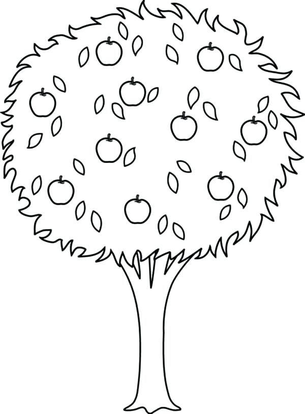 600x813 Apple Tree Coloring Pages Coloring Page Apple Tree Nature