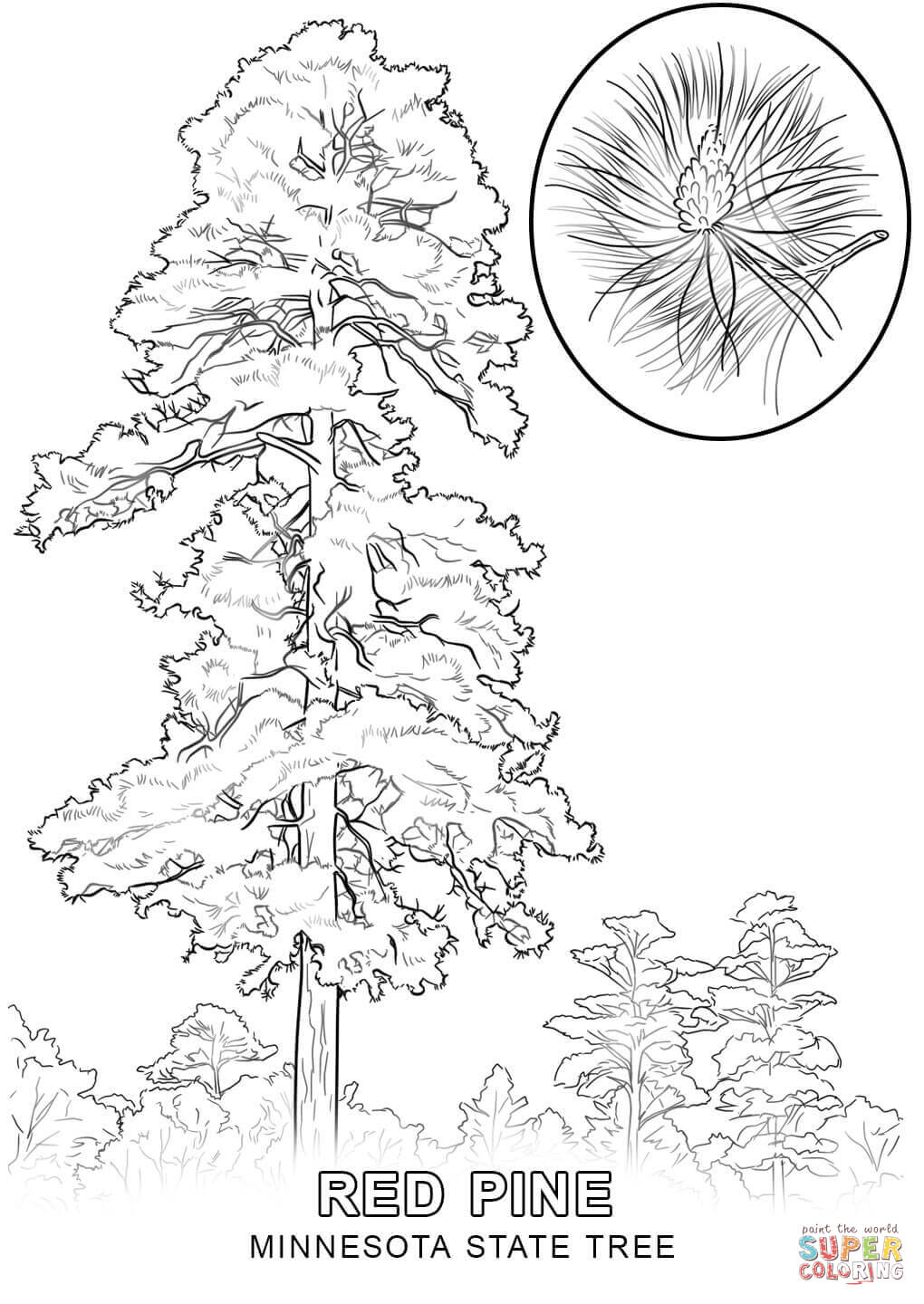 1020x1440 Louisiana State Tree Coloring Page 411738