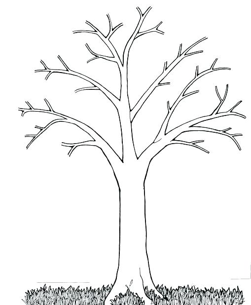 Free Tree Coloring Pages at GetColorings.com | Free printable colorings ...