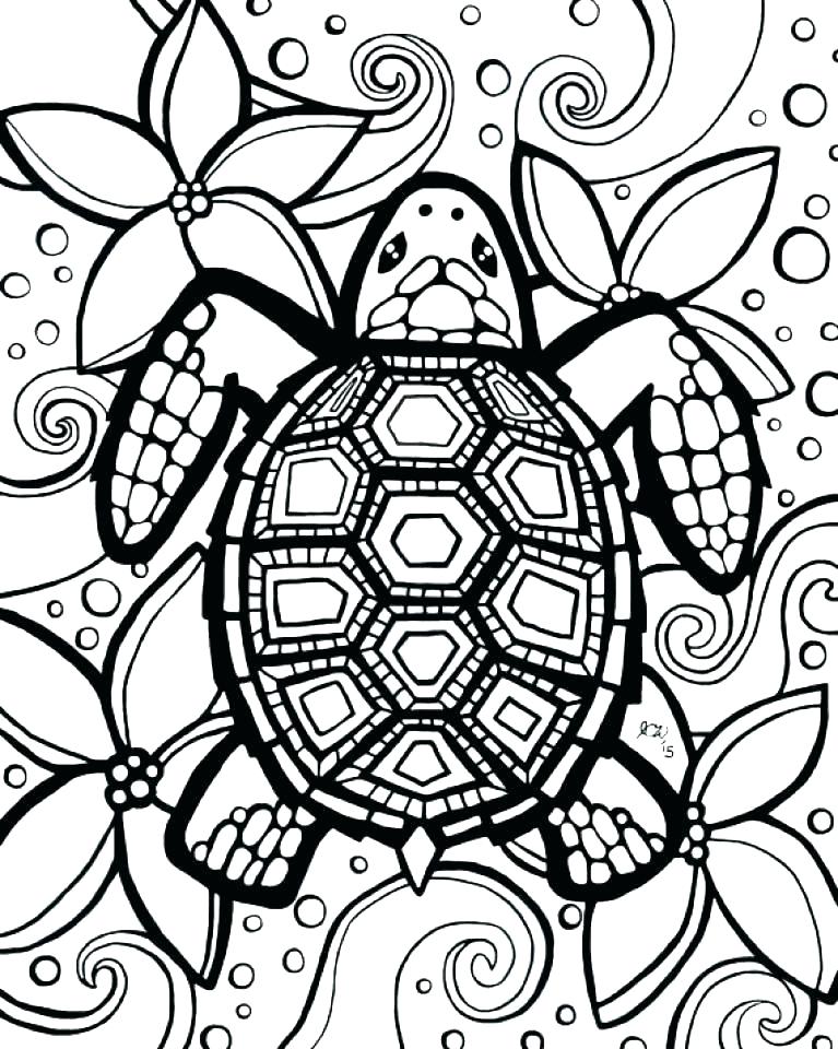 767x960 Turtle Coloring Pages Printable Ninja Turtles Coloring Sheet Ninja