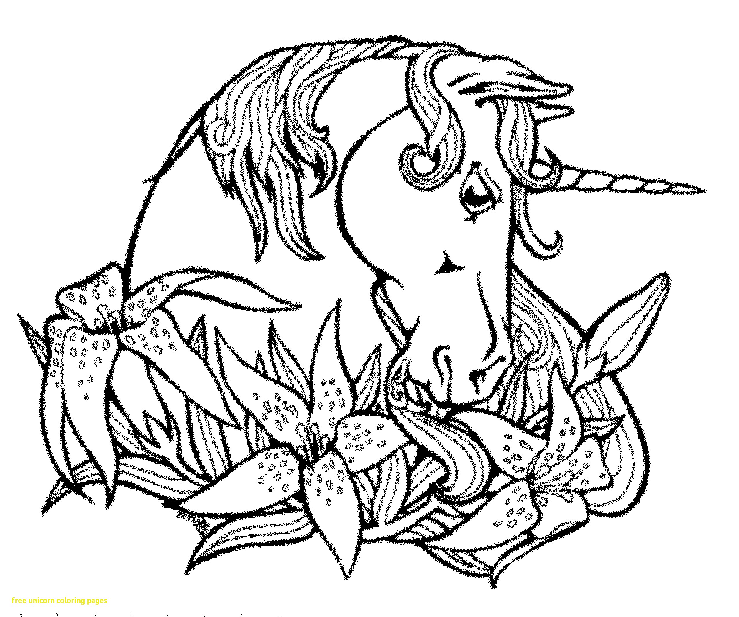 2551x2132 Free Unicorn Coloring Pages With Fresh Unicorn To Print 28 4118