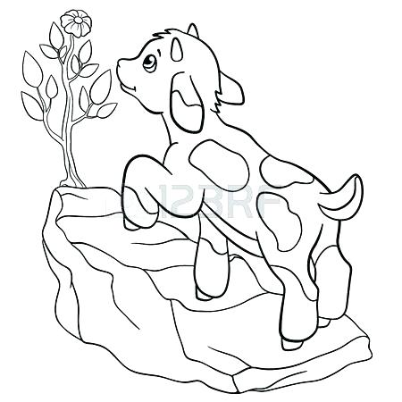 The Rock Coloring Pages The Rock Coloring Pages Coloring Pages 450x450 The Rock Coloring Pages The Rock Coloring Pages Coloring Pages