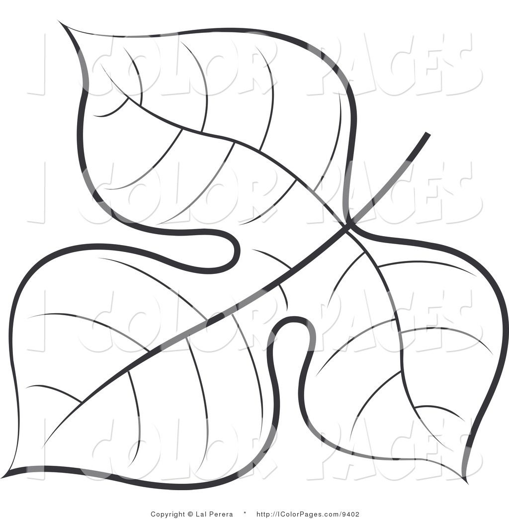 Coloring Book Of Leaves Vector Coloring Page Of A Black 1024x1044 Coloring Book Of Leaves Vector Coloring Page Of A Black