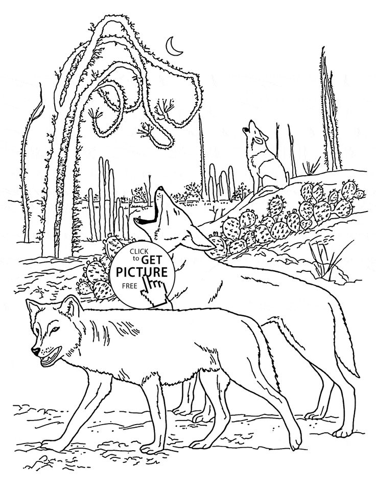 Free Wild Animal Coloring Pages
