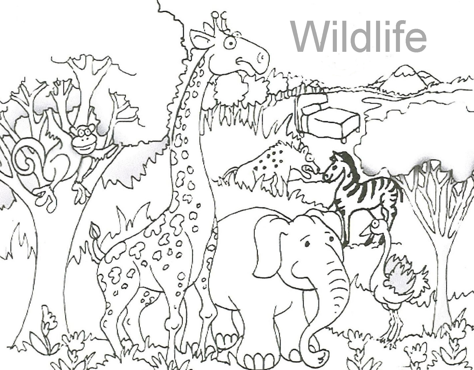 Miracle Wild Animal Coloring Pages Fresh Popul 1645x1285 Miracle Wild Animal Coloring Pages Fresh Popul