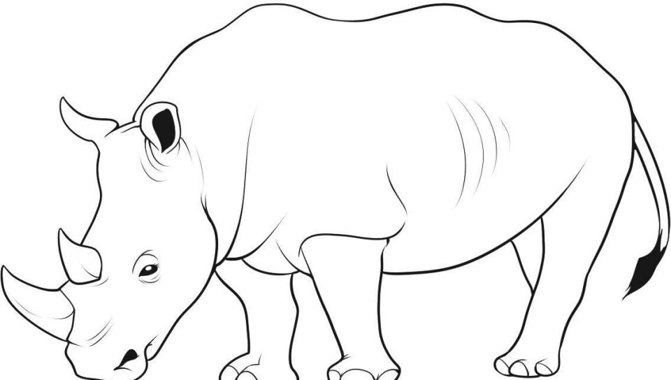 Animal Coloring Sheets Preschool In Good Page Paint Wild Animals 960x544 Animal Coloring Sheets Preschool In Good Page Paint Wild Animals