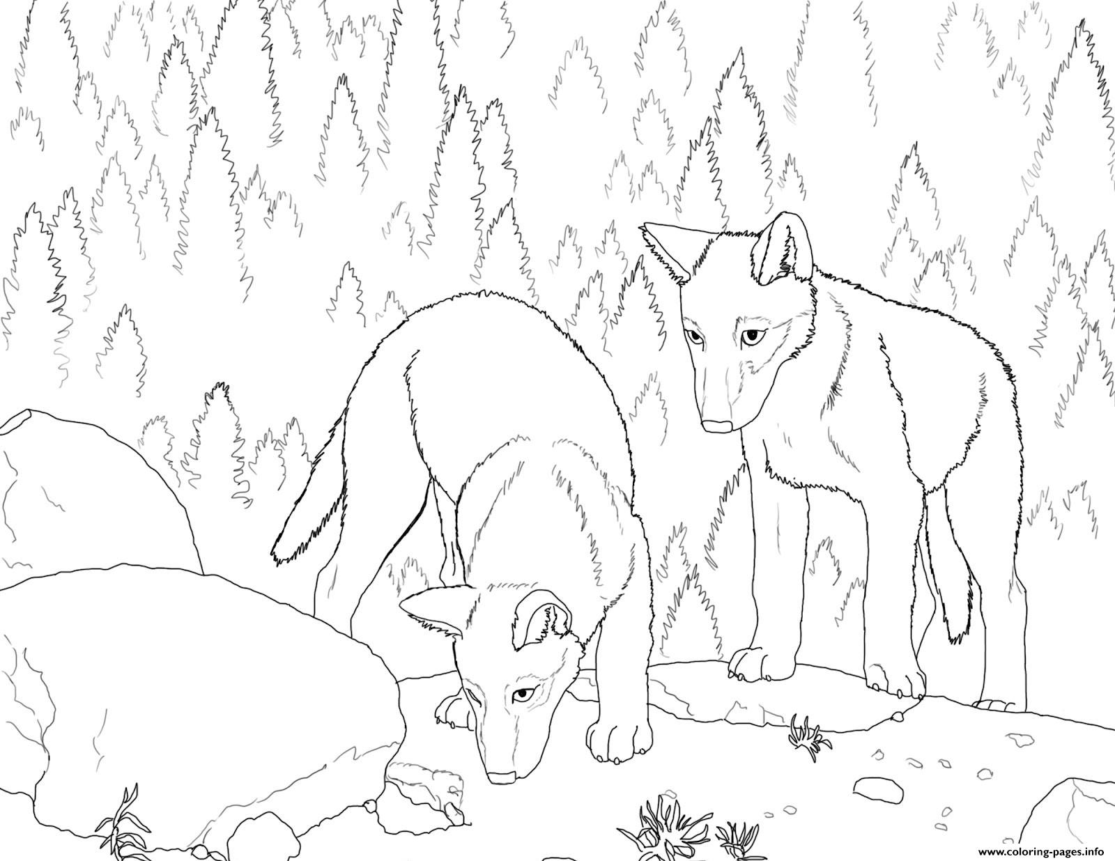 Free Wolf Coloring Pages