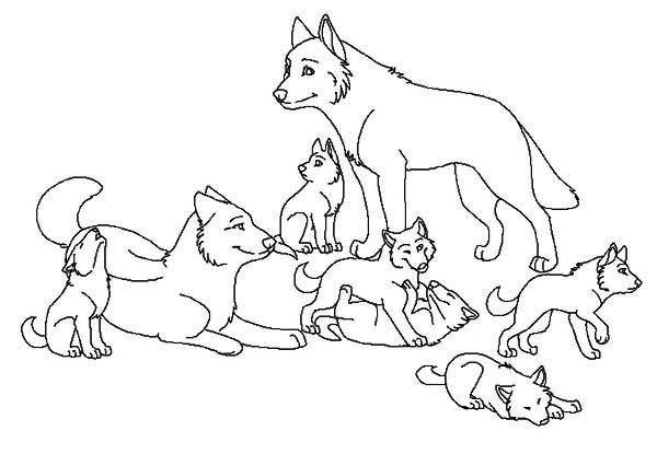 600x415 Free Printable Wolf Coloring Pages Free Wolf Coloring Pages