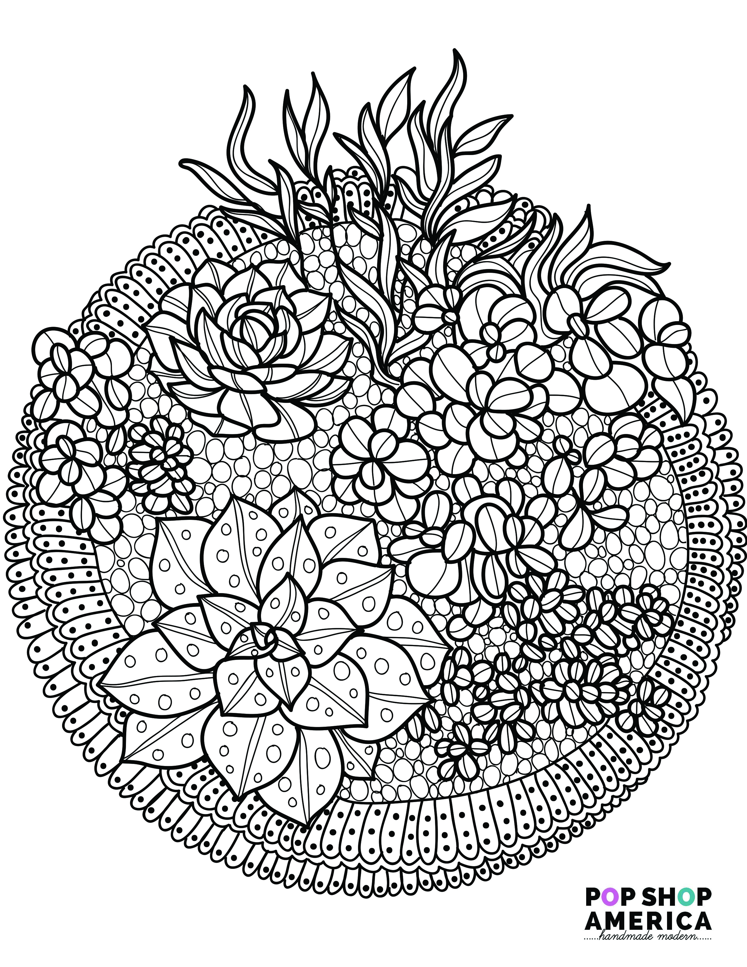 2550x3300 Free Adult Coloring Book Pages With Succulent Terrariums