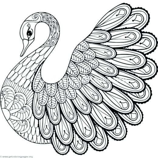 Zen Coloring Pages Free Printable Swan Coloring Pages Coloring 520x520 Zen Coloring Pages Free Printable Swan Coloring Pages Coloring